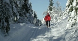 Skifahren in Norwegen