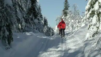 Skifahren in Norwegen