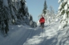 Skifahren in Norwegen