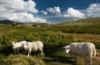 Rondane Nationalpark