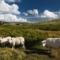 Rondane Nationalpark